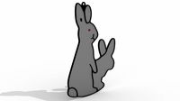 rabbit