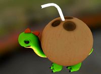 toy coconut turtle