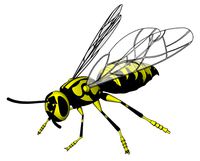 wasp model animals