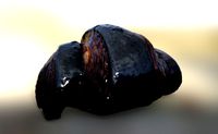 burned croissant