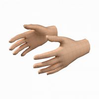 female hand base mesh 07