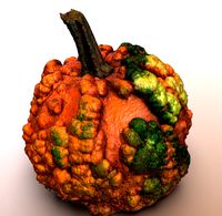pumpkin food with warts