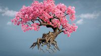 ancient cherry blossoms