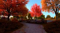 autumn park