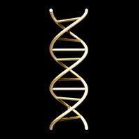 dna chain