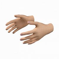 female hand base mesh 05
