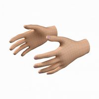 female hand base mesh 04