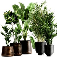 plants in a rusty flowerpot for the interior 1043