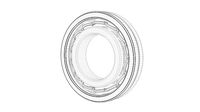 a set of ball and roller bearings of different designs