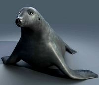 seal