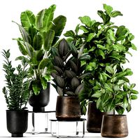 plants in a rusty flowerpot for the interior 1042