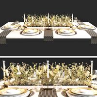 table setting 103