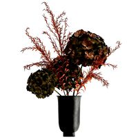 bouquet of dried flowers in a vase 162
