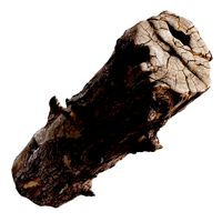 an old wooden log