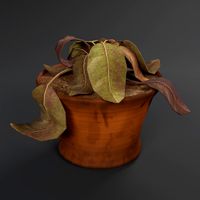 dry flowerpot