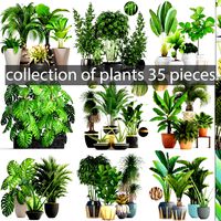 collection of plants 35 pieces b