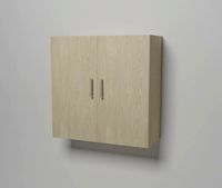 kitchen cabinet