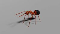 low-poly ant