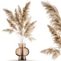 bouquet of dried white reeds in a vase 145