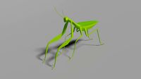 low-poly mantis