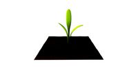 cartoon vegetable plot