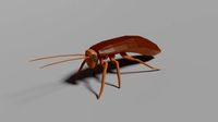 low-poly roach