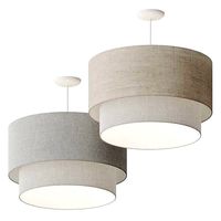 Room and Board Leighton Pengant Lamp