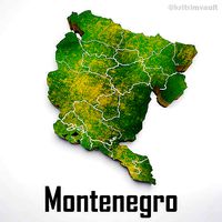 Montenegro country map 3d model