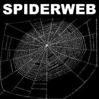 Spiderweb 1