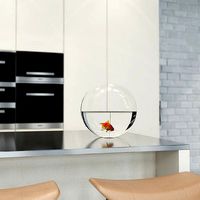 Goldfish in Bowl