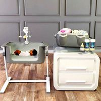 Bedside Bassinet and Baby Bag