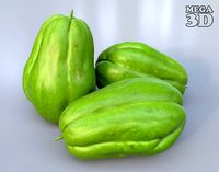 Chayote Squash Photogrammetry 220424