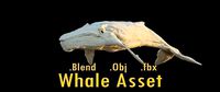 Albino Whale  -  Migaloo