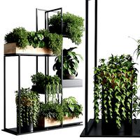 stand plant box collection Indoor plant wooden and metal vase
