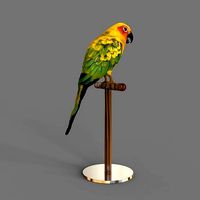 Parrot Conuro del Sole