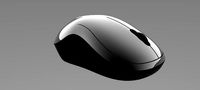 Mouse Body
