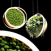 hanging garden and hanging moss in wooden frame 218