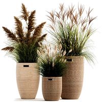 ornamental plants in rattan baskets 1024