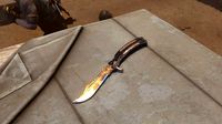 Butterfly knife CSGO desert life