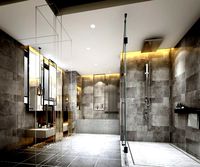 modern toilet bathroom