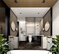 modern toilet bathroom