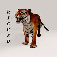 Bengal Tiger