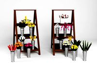 showcase with flowers