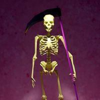 LA MUERTE - LOW POLY