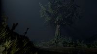 Moonlight Tree