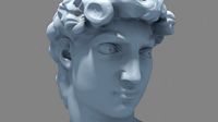 David bust by Michelangelo 3D model