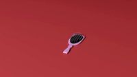 Hair brush