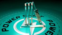 Cricket bat Wicket and Ball Low-poly 3D model