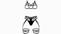 Body Harness