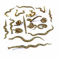 Yellow Anaconda 3D Mesh